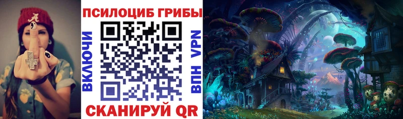 Купить где  Ишим  Псилоцибиновые грибы ЛСД 